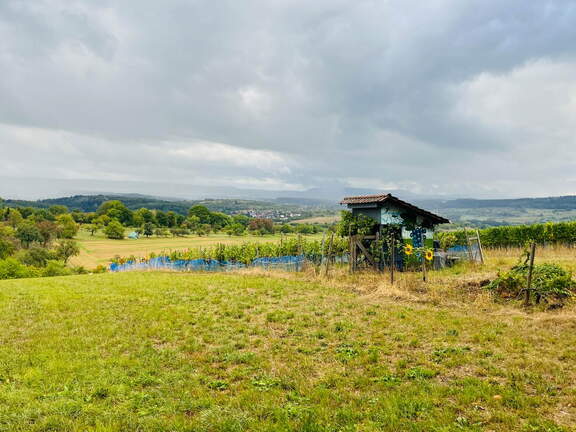 22-09-10 17-50-42 1968